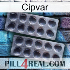 Cipvar 31